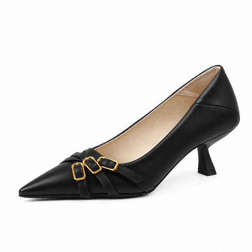 Point Toe Low Heel Pumps