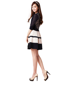 Modern Lady Skirt